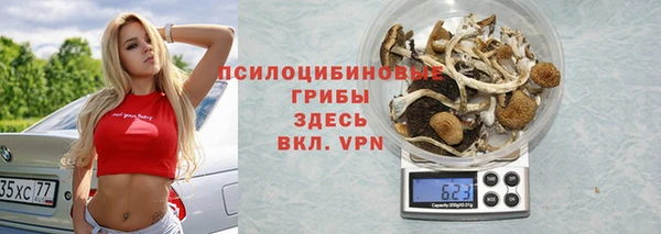 гидропоника Заречный