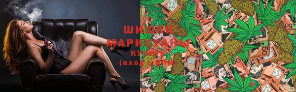 винт Заполярный