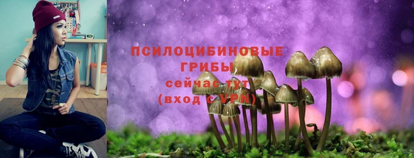 кокаин премиум Заводоуковск