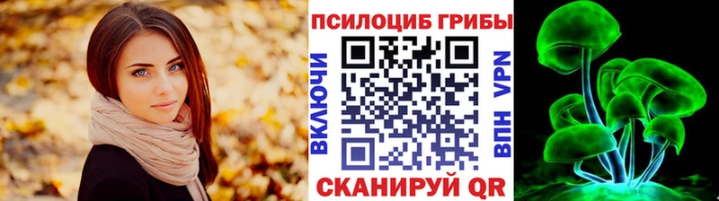 Псилоцибиновые грибы Psilocybe  наркотики  Светлый 